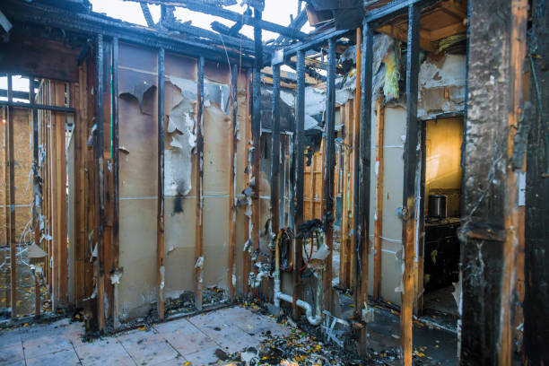 Professional Fire Damage Removal technician working in Bradenton Beach, FL