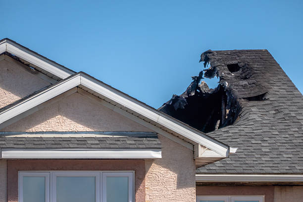 Top rated local Fire Damage Removal specialists in Bradenton Beach, FL